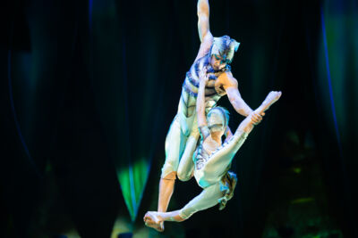 Cirque du Soleil (OVO) @ ING Arena, foto 34, foto's door Paul Jongeneelen - FrontView Magazine