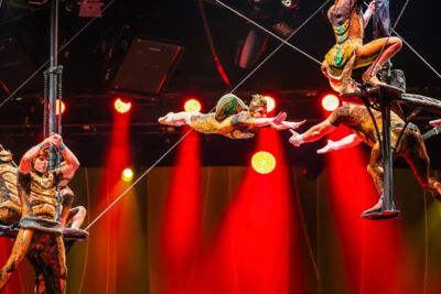 Cirque du Soleil (OVO) @ ING Arena, foto 42, foto's door Paul Jongeneelen - FrontView Magazine