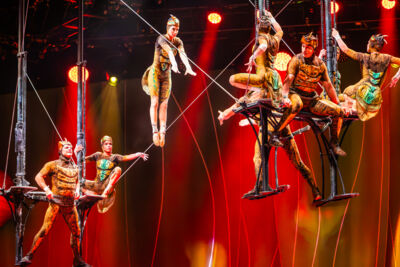 Cirque du Soleil (OVO) @ ING Arena, foto 40, foto's door Paul Jongeneelen - FrontView Magazine