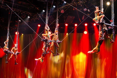 Cirque du Soleil (OVO) @ ING Arena, foto 39, foto's door Paul Jongeneelen - FrontView Magazine