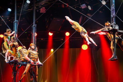 Cirque du Soleil (OVO) @ ING Arena, foto 44, foto's door Paul Jongeneelen - FrontView Magazine