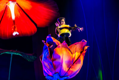 Cirque du Soleil (OVO) @ ING Arena, foto 5, foto's door Paul Jongeneelen - FrontView Magazine