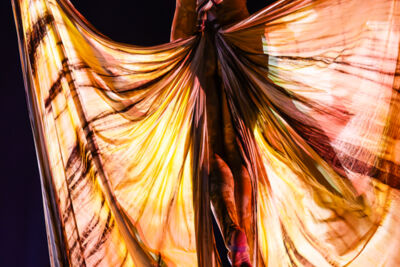 Cirque du Soleil (OVO) @ ING Arena, foto 22, foto's door Paul Jongeneelen - FrontView Magazine