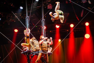 Cirque du Soleil (OVO) @ ING Arena, foto 41, foto's door Paul Jongeneelen - FrontView Magazine