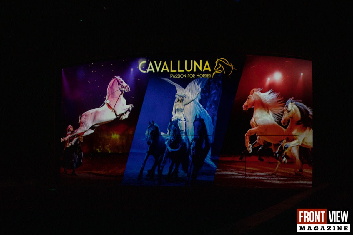 Cavalluna "Celebration" - 1