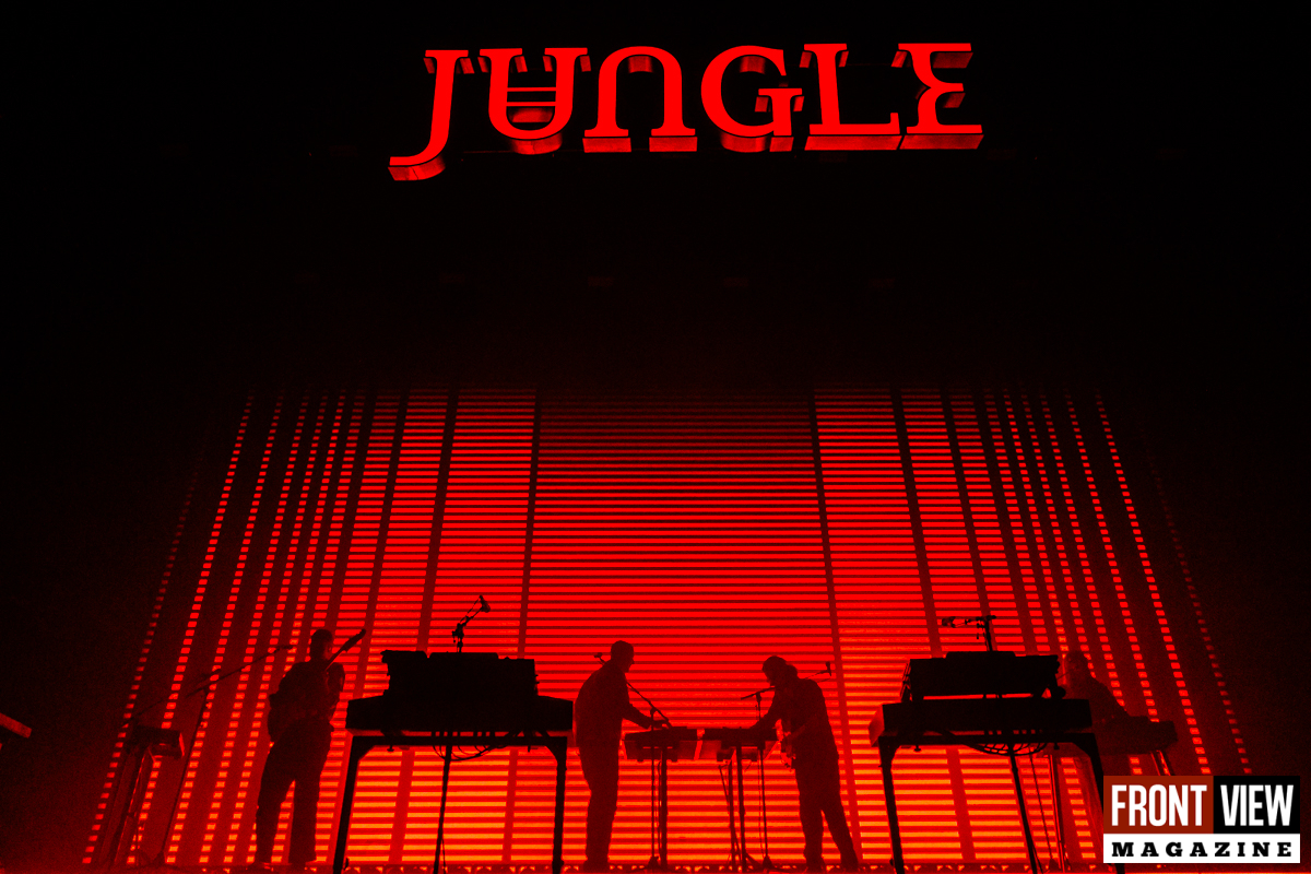 Jungle - 10