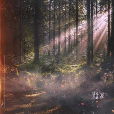 Nils Hoffmann & Kasbo team up for new single, ‘Running In A Dream’ ft Vancouver Sleep Clinic