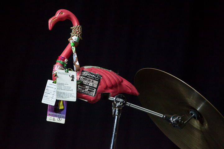 Charles Bradley and his Extraordinaires @ Dour 2013, picture 26, photographed by Dorien Goetschalckx - FrontView Magazine