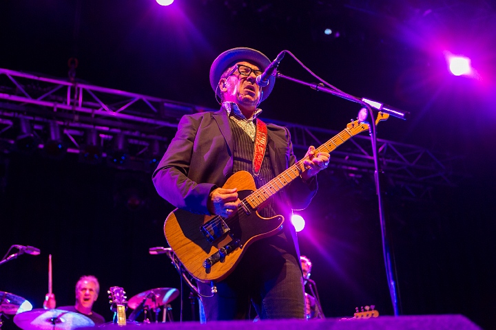 Elvis Costello @ 013 Tilburg, picture 12, photographed by Edwin Houdevelt - FrontView Magazine