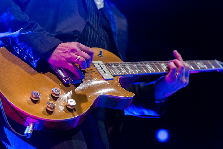 Elvis Costello @ 013 Tilburg, picture 13, photographed by Edwin Houdevelt - FrontView Magazine