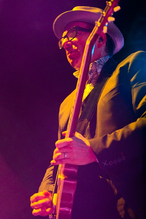 Elvis Costello @ 013 Tilburg, picture 55, photographed by Edwin Houdevelt - FrontView Magazine