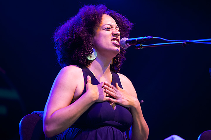Heritage Blues Orchestra @ Blues Peer 2013, picture 17, photographed by Jurgen Aerts - FrontView Magazine