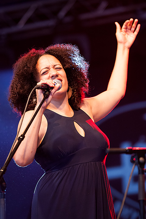 Heritage Blues Orchestra @ Blues Peer 2013, picture 19, photographed by Jurgen Aerts - FrontView Magazine