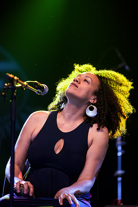 Heritage Blues Orchestra @ Blues Peer 2013, picture 20, photographed by Jurgen Aerts - FrontView Magazine