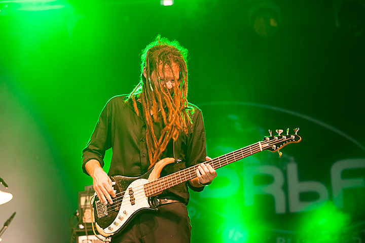 The Delta Saints @ Blues Peer 2013, picture 16, photographed by Jurgen Aerts - FrontView Magazine