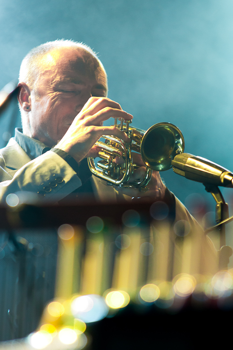 Tindersticks @ Rivierenhof, picture 14, photographed by Walter Grimm - FrontView Magazine