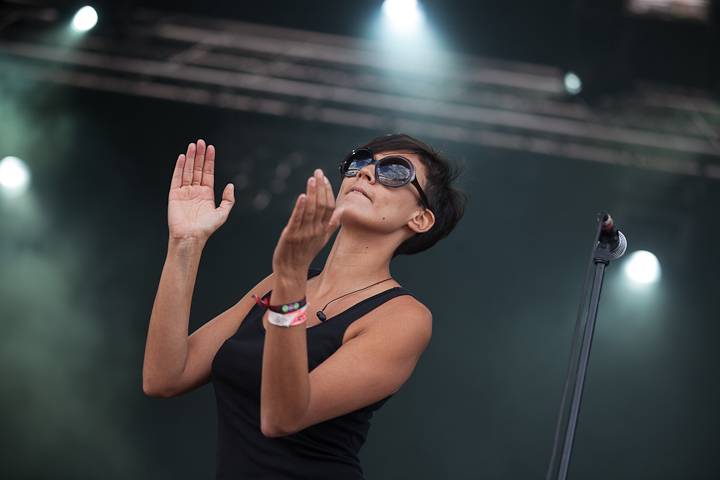 Superlux @ Ronquières Festival 2013, picture 14, photographed by Dorien Goetschalckx - FrontView Magazine