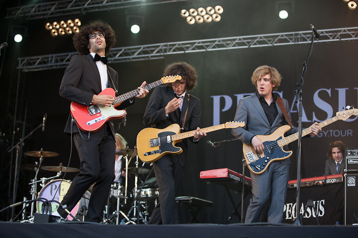 Pegasus @ Ronquières Festival 2013, picture 25, photographed by Dorien Goetschalckx - FrontView Magazine