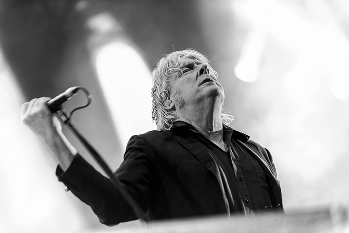 Arno at Lokerse Feesten 2013, picture 11, photographed by Jonas Wallecan - FrontView Magazine