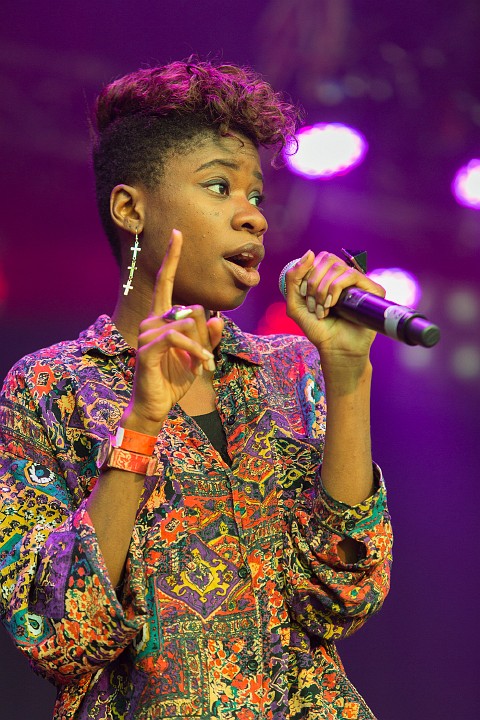 Coely @ Hestival 2013, picture 1, photographed by Edwin Houdevelt - FrontView Magazine