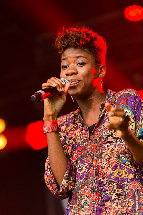 Coely @ Hestival 2013, picture 2, photographed by Edwin Houdevelt - FrontView Magazine