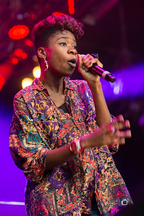 Coely @ Hestival 2013, picture 10, photographed by Edwin Houdevelt - FrontView Magazine