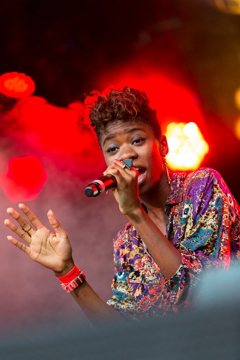 Coely @ Hestival 2013, picture 15, photographed by Edwin Houdevelt - FrontView Magazine