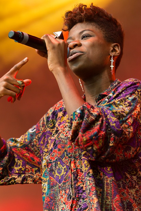 Coely @ Hestival 2013, picture 19, photographed by Edwin Houdevelt - FrontView Magazine