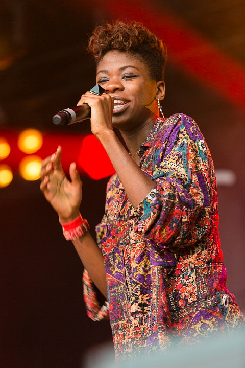 Coely @ Hestival 2013, picture 20, photographed by Edwin Houdevelt - FrontView Magazine