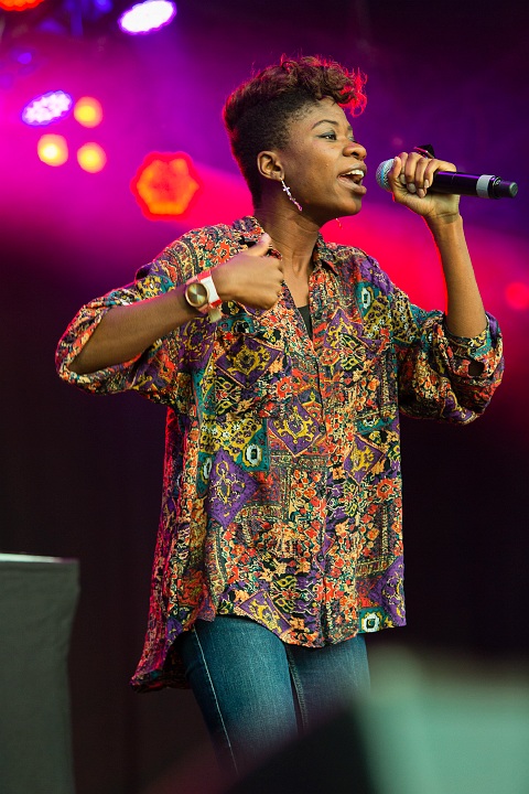 Coely @ Hestival 2013, picture 21, photographed by Edwin Houdevelt - FrontView Magazine