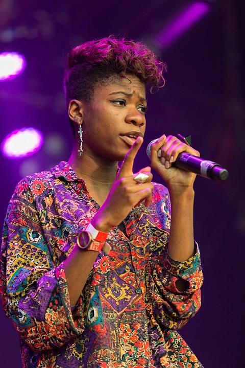 Coely @ Hestival 2013, picture 23, photographed by Edwin Houdevelt - FrontView Magazine
