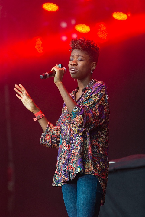 Coely @ Hestival 2013, picture 26, photographed by Edwin Houdevelt - FrontView Magazine