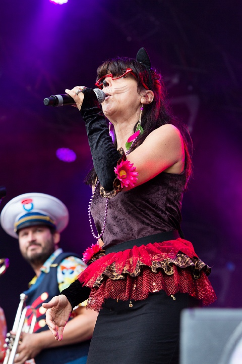 Kapitein Winokio @ Hestival 2013, picture 19, photographed by Edwin Houdevelt - FrontView Magazine