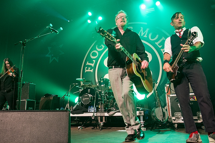 Flogging Molly Feest in het park dag 3, picture 10, photographed by Philippe Janssens, Philippe Janssens - FrontView Magazine