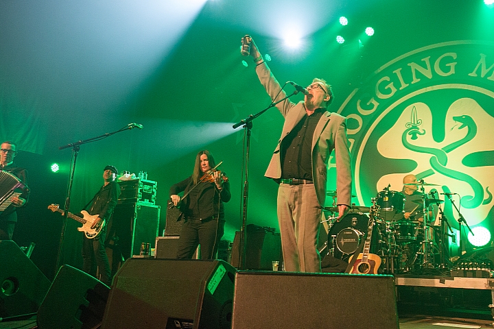 Flogging Molly Feest in het park dag 3, picture 19, photographed by Philippe Janssens, Philippe Janssens - FrontView Magazine