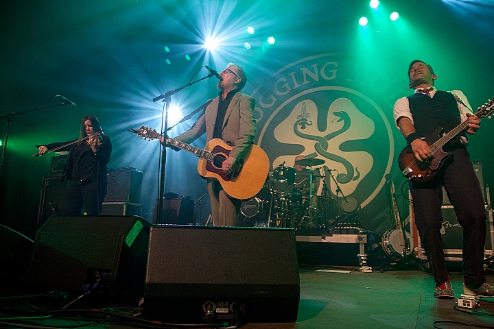 Flogging Molly Feest in het park dag 3, picture 23, photographed by Philippe Janssens, Philippe Janssens - FrontView Magazine