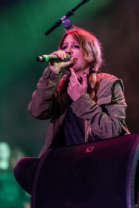 Guano Apes @ Masters @ Rock 2013, picture 9, photographed by Edwin Houdevelt - FrontView Magazine