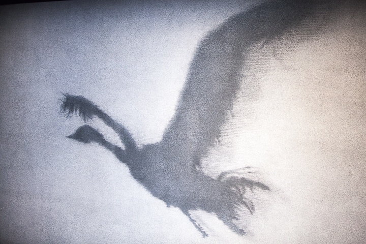 Matthew Bourne's Swan Lake @ Stadsschouwburg, picture 1, photographed by Koen Rondelez - FrontView Magazine