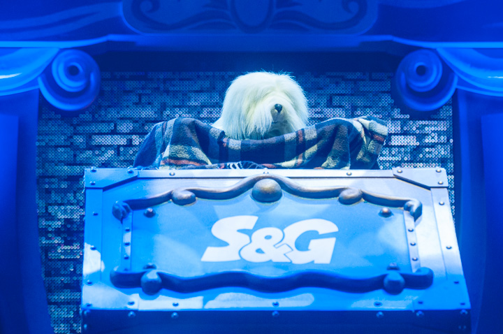 De grote Sinterklaasshow 2013 @ Sportpaleis, foto 76, foto's door Dimitri Vanlommel - FrontView Magazine