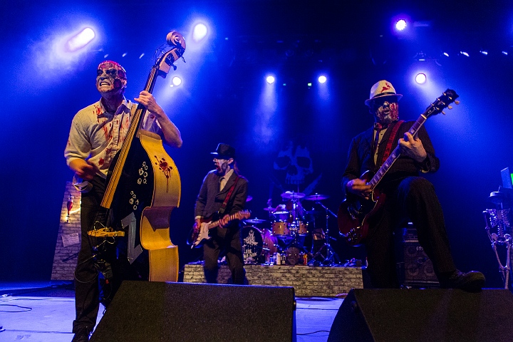 Banane Metalik @ Old School Rockabilly Psychosis Night Trix, picture 4, photographed by Edwin Houdevelt - FrontView Magazine