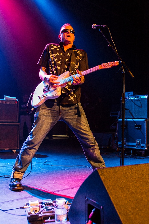 The Sharks @ Old School Rockabilly Psychosis Night Trix, picture 4, photographed by Edwin Houdevelt - FrontView Magazine