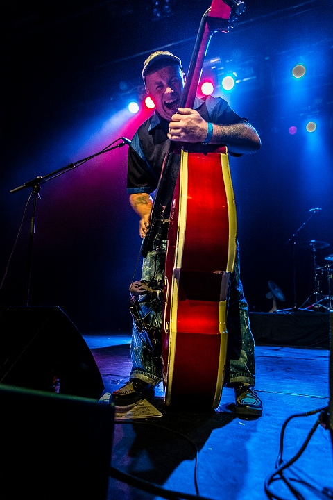 The Sharks @ Old School Rockabilly Psychosis Night Trix, picture 6, photographed by Edwin Houdevelt - FrontView Magazine