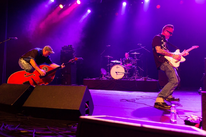 The Sharks @ Old School Rockabilly Psychosis Night Trix, picture 15, photographed by Edwin Houdevelt - FrontView Magazine
