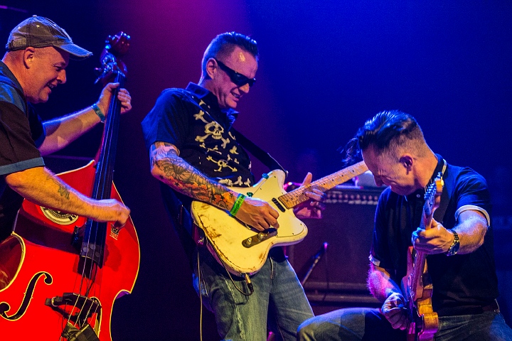 The Sharks @ Old School Rockabilly Psychosis Night Trix, picture 26, photographed by Edwin Houdevelt - FrontView Magazine