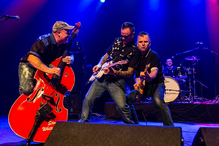 The Sharks @ Old School Rockabilly Psychosis Night Trix, picture 41, photographed by Edwin Houdevelt - FrontView Magazine