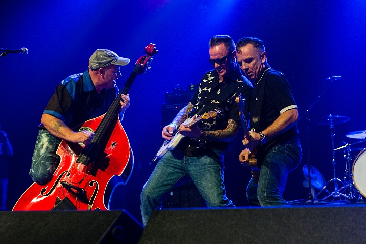 The Sharks @ Old School Rockabilly Psychosis Night Trix, picture 45, photographed by Edwin Houdevelt - FrontView Magazine