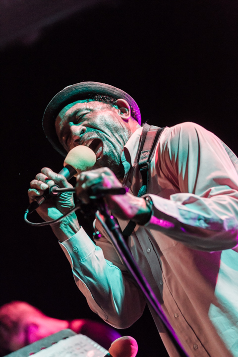 The Grandmothers of Invention @ De Casino Sint-Niklaas, picture 2, photographed by Guy Danneels - FrontView Magazine