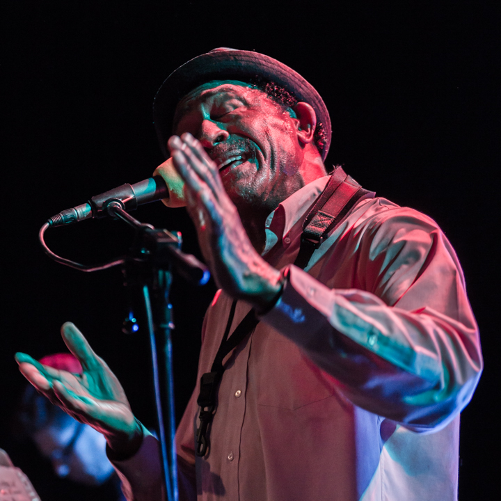 The Grandmothers of Invention @ De Casino Sint-Niklaas, picture 5, photographed by Guy Danneels - FrontView Magazine