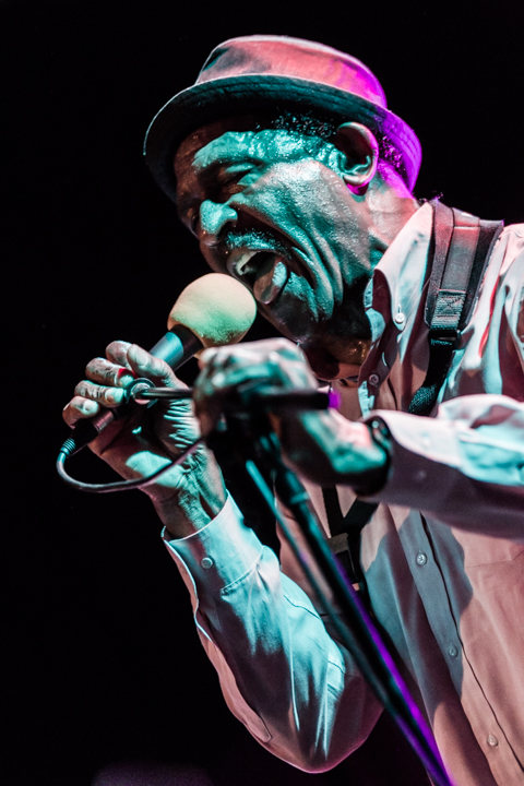 The Grandmothers of Invention @ De Casino Sint-Niklaas, picture 10, photographed by Guy Danneels - FrontView Magazine