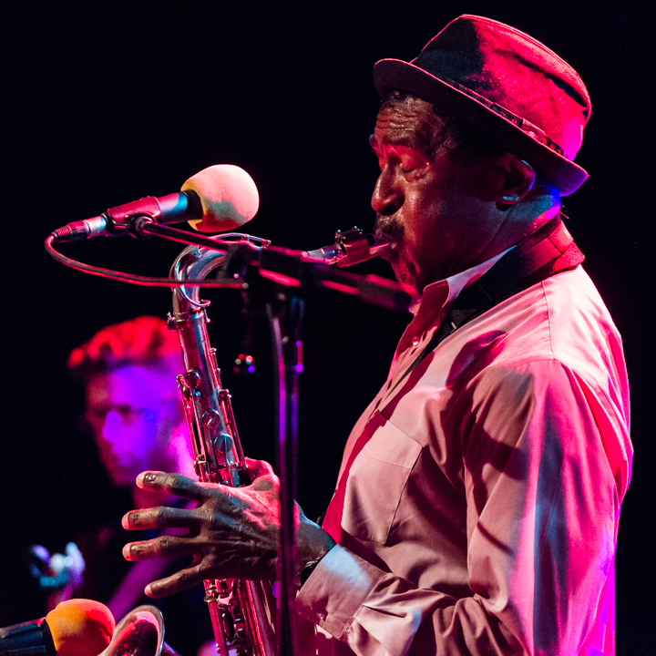 The Grandmothers of Invention @ De Casino Sint-Niklaas, picture 20, photographed by Guy Danneels - FrontView Magazine